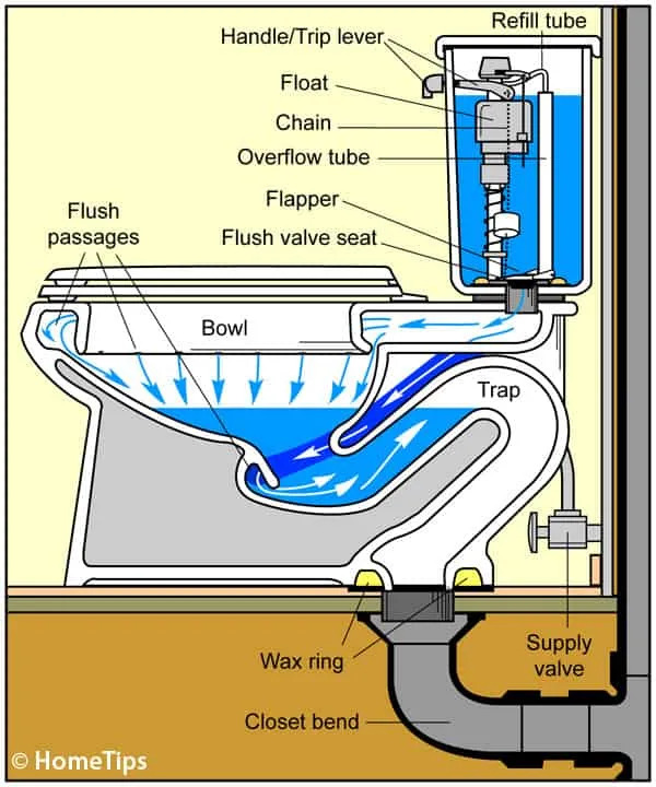 Toilet Diagram